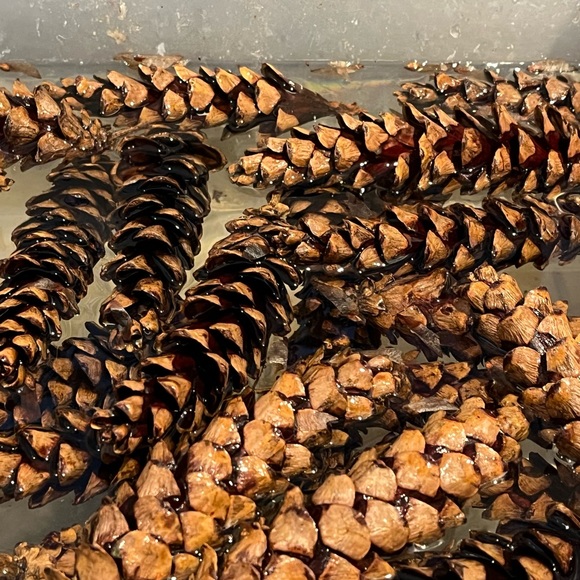 6 Pinecone Ornament Christmas Set - Picture 3 of 5